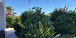 Second hand - Villa / House - Torrevieja - La siesta