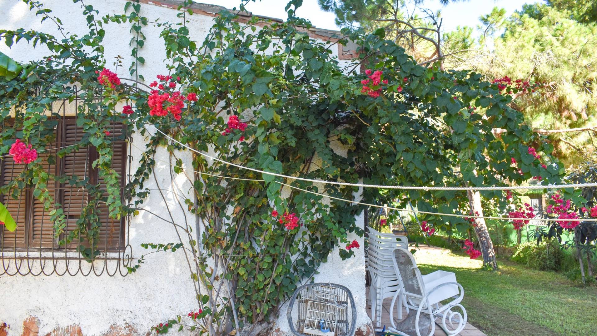 Second hand - Villa - Orihuela Costa - Punta Prima