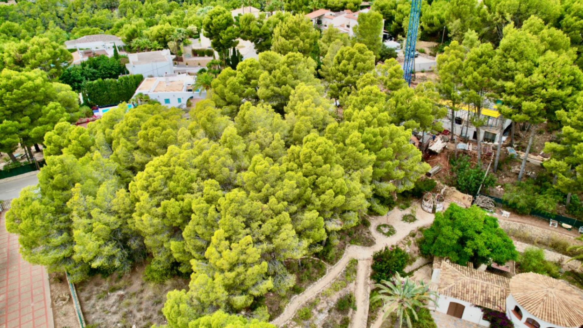 Segunda Mano - - - Altea - Galera las palmeras