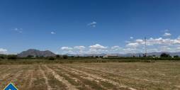 Segunda Mano - Apartamento - Almoradi - Las maromas