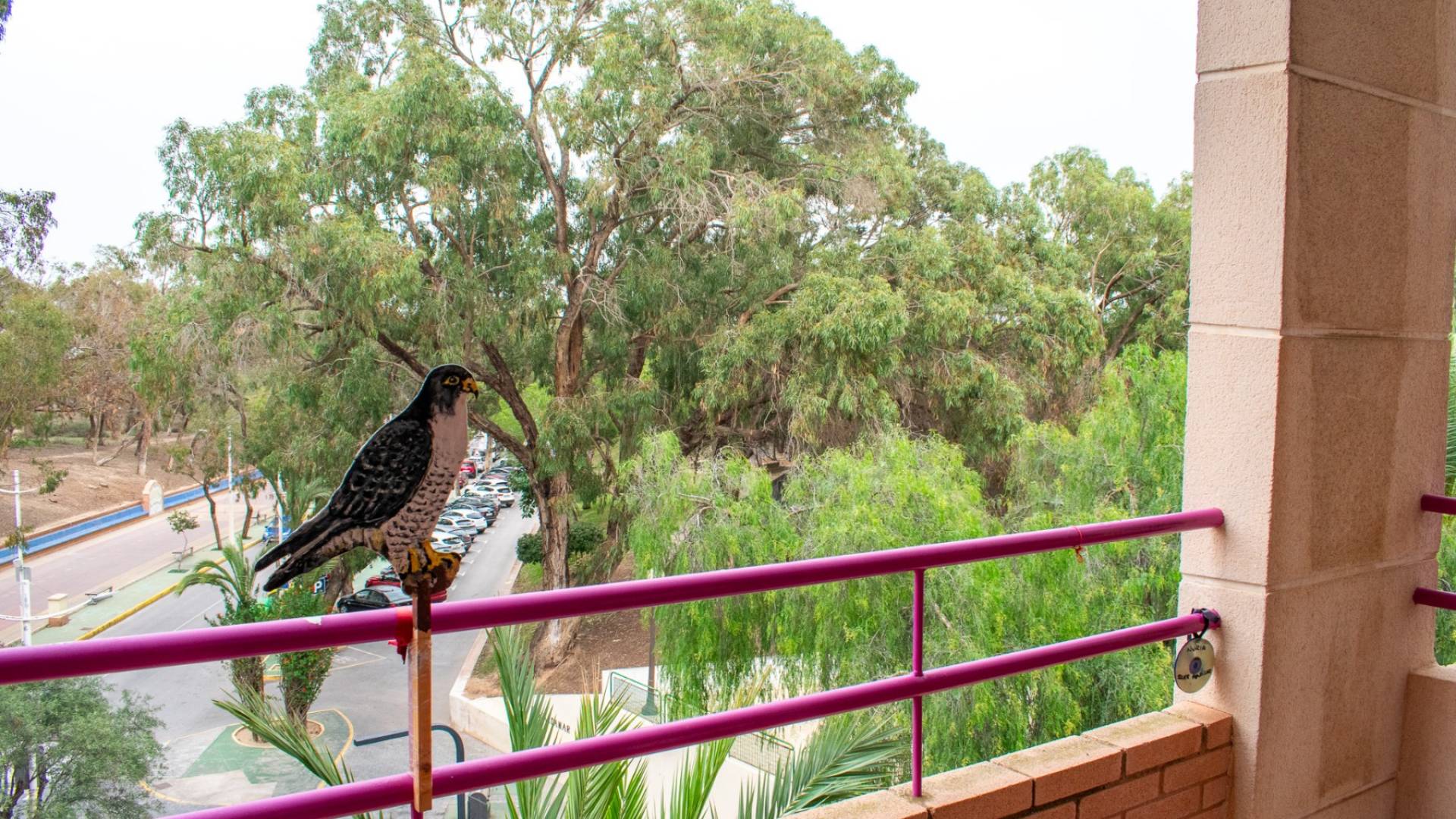 Segunda Mano - Apartamento - Guardamar del Segura - Centro