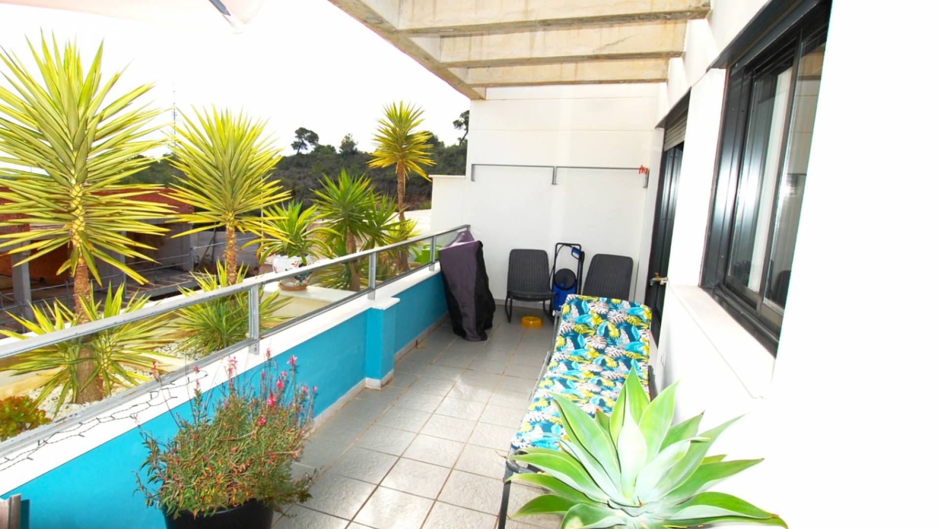 Segunda Mano - Apartamento - Orihuela - Campoamor