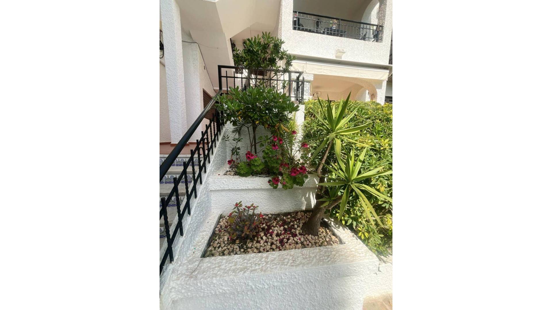 Segunda Mano - Apartamento - Orihuela Costa - Cabo Roig