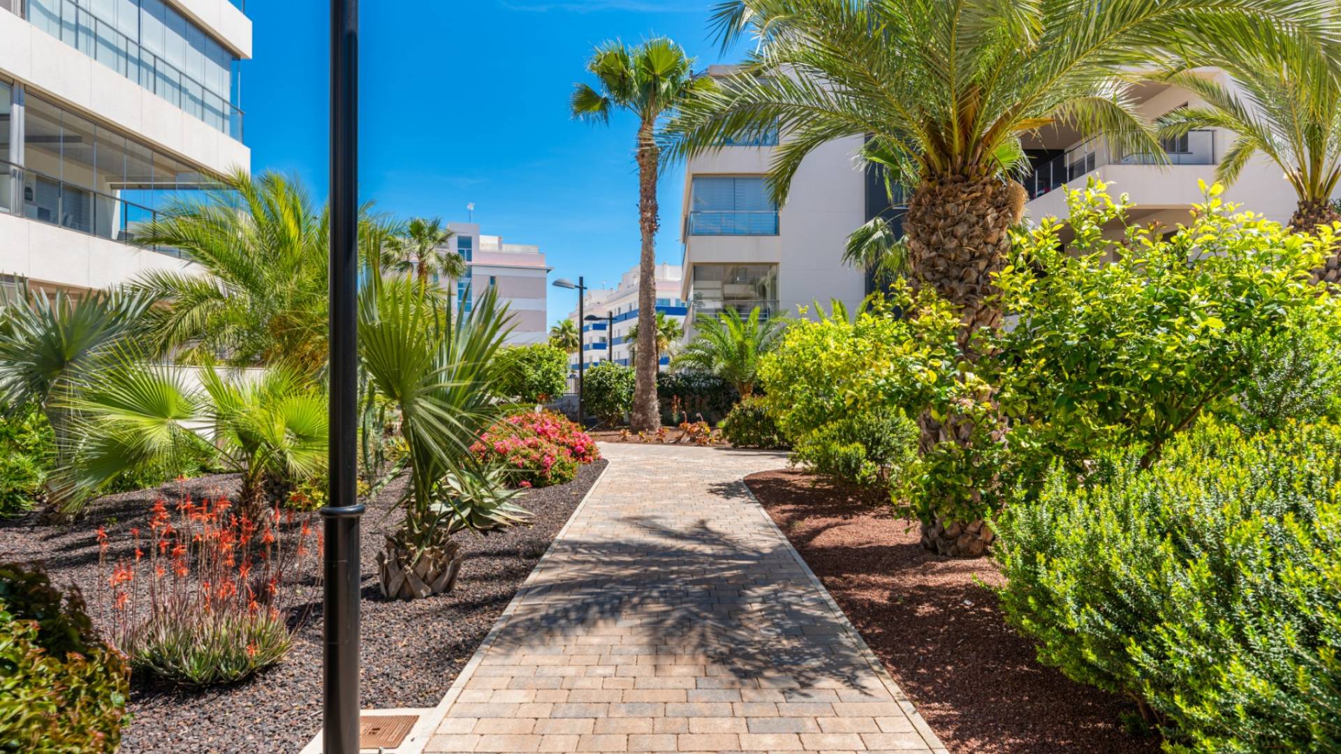Segunda Mano - Apartamento - Orihuela Costa - El Barranco