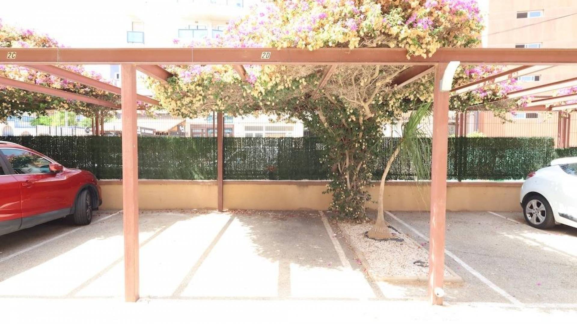 Segunda Mano - Apartamento - Orihuela Costa - La Regia