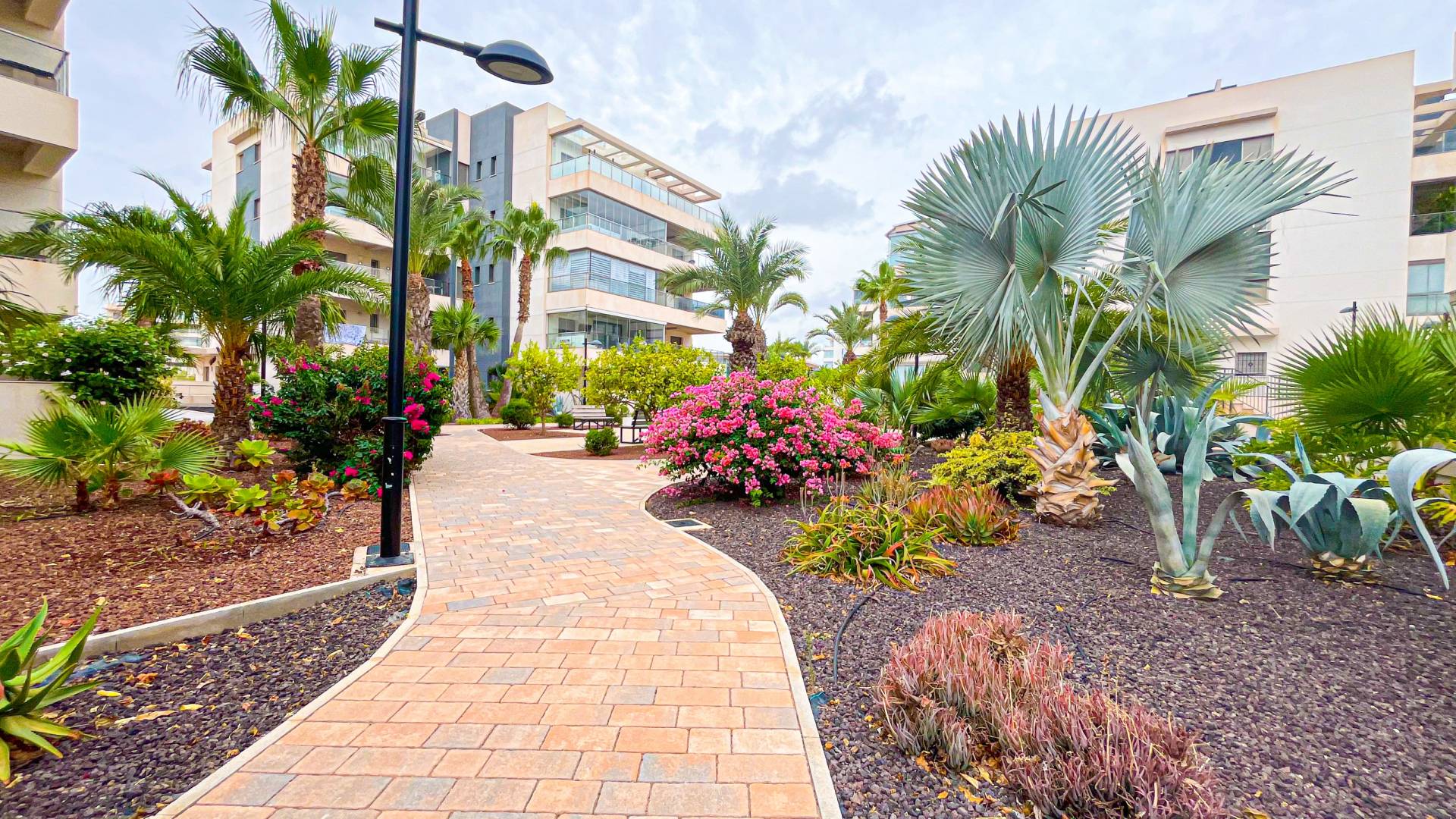 Segunda Mano - Apartamento - Orihuela Costa - Villamartin