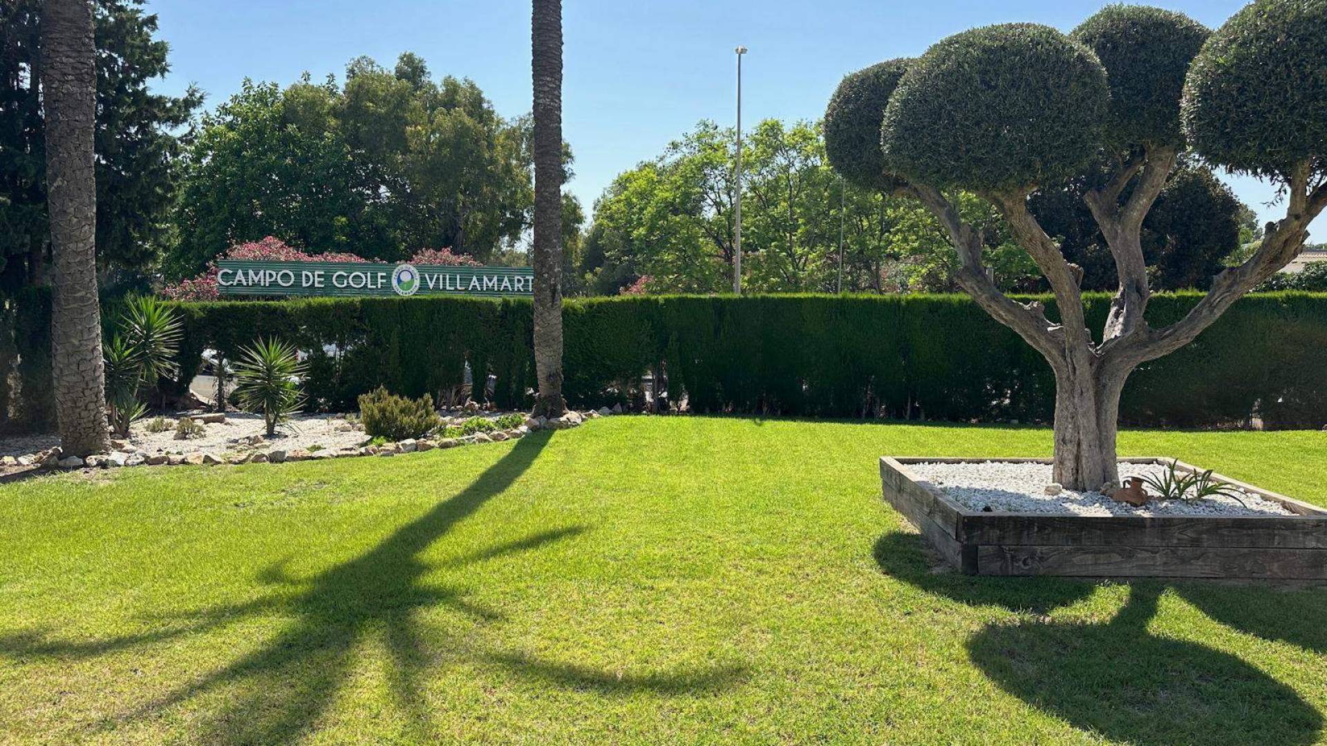 Segunda Mano - Apartamento - Orihuela - Villamartin