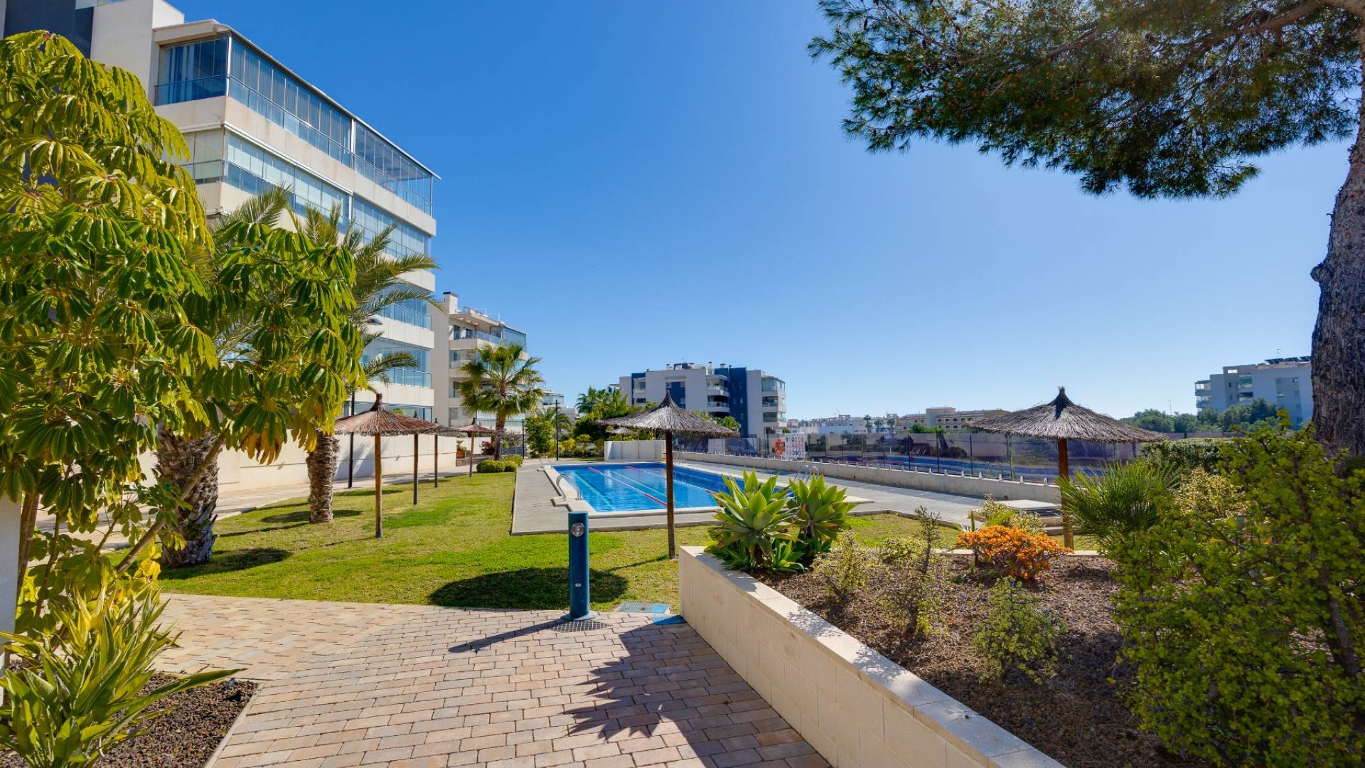 Segunda Mano - Apartamento - Orihuela - Villamartin