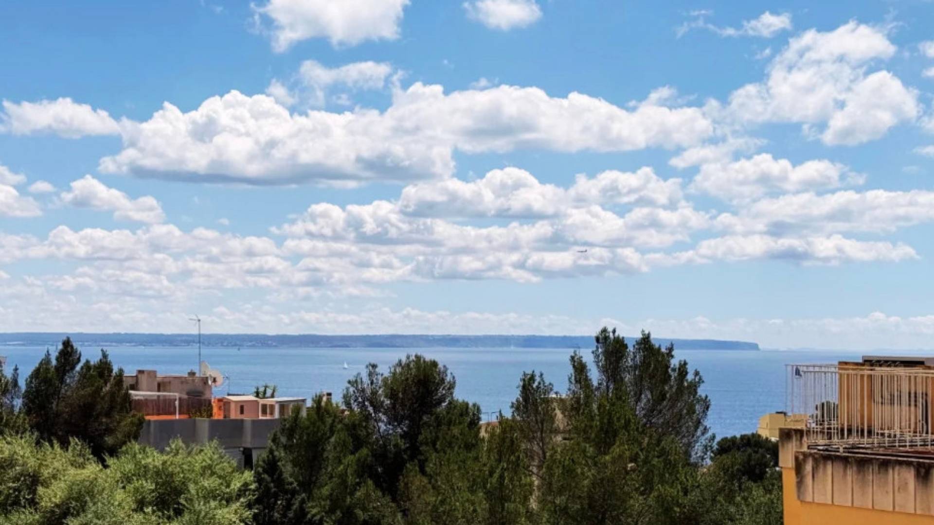 Segunda Mano - Apartamento - Palma - Sant Agustí