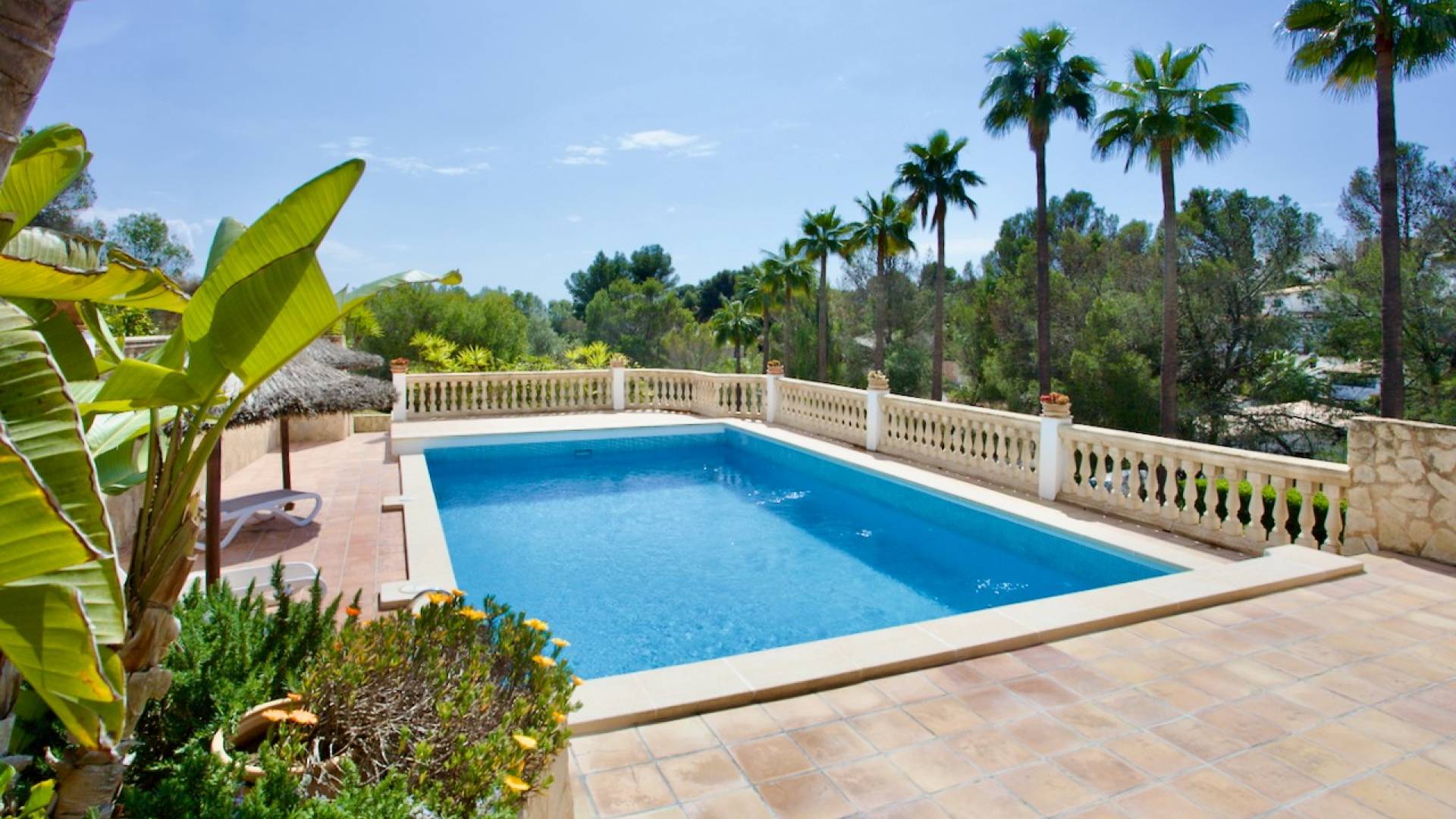 Segunda Mano - Apartamento - Portals Nous - Calvià