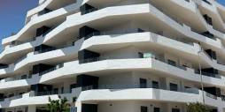 Segunda Mano - Apartamento - San Miguel de Salinas