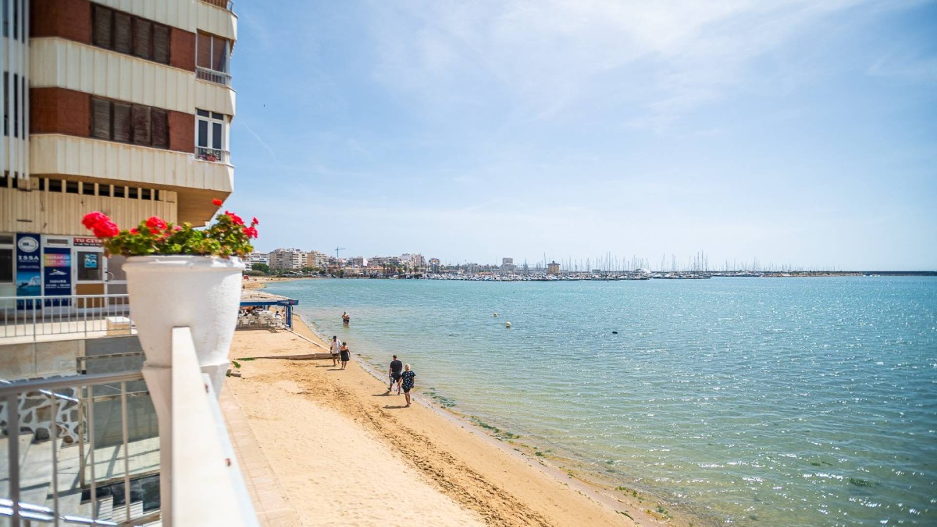 Segunda Mano - Apartamento - Torrevieja - Acequion
