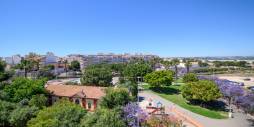 Segunda Mano - Apartamento - Torrevieja - Acequion