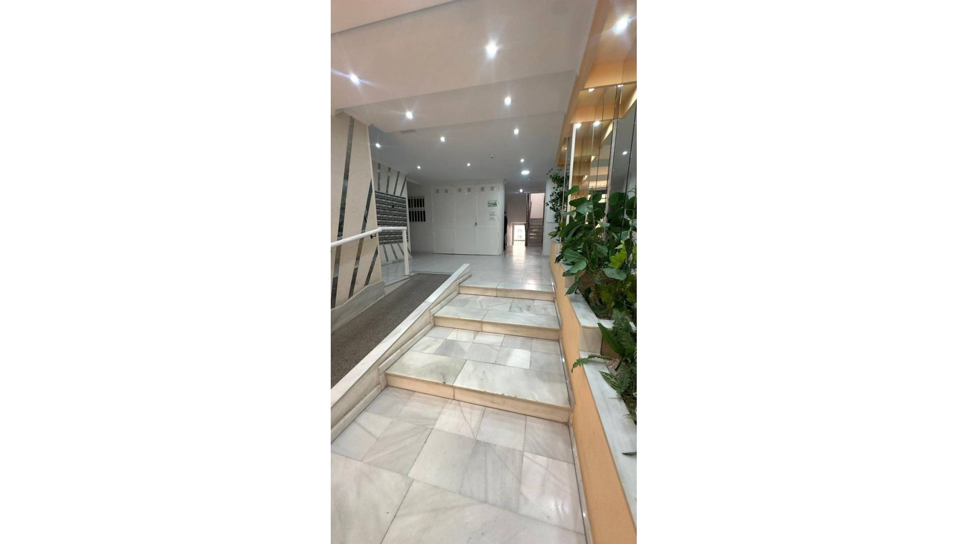 Segunda Mano - Apartamento - Torrevieja - Acequion