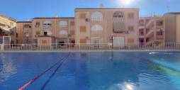 Segunda Mano - Apartamento - Torrevieja - Acequion