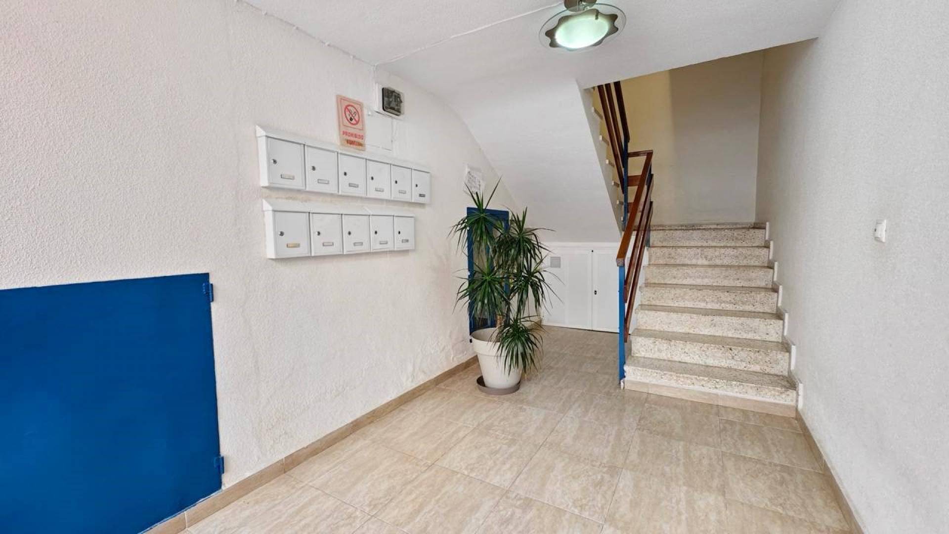 Segunda Mano - Apartamento - Torrevieja - Centro