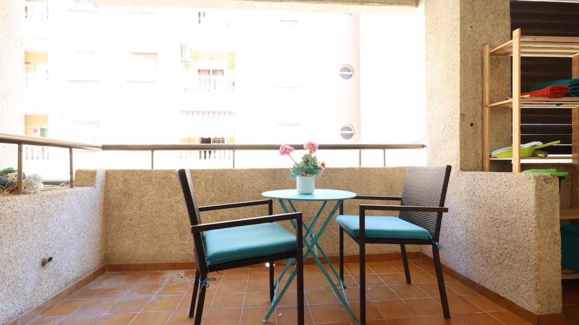 Segunda Mano - Apartamento - Torrevieja - Centro