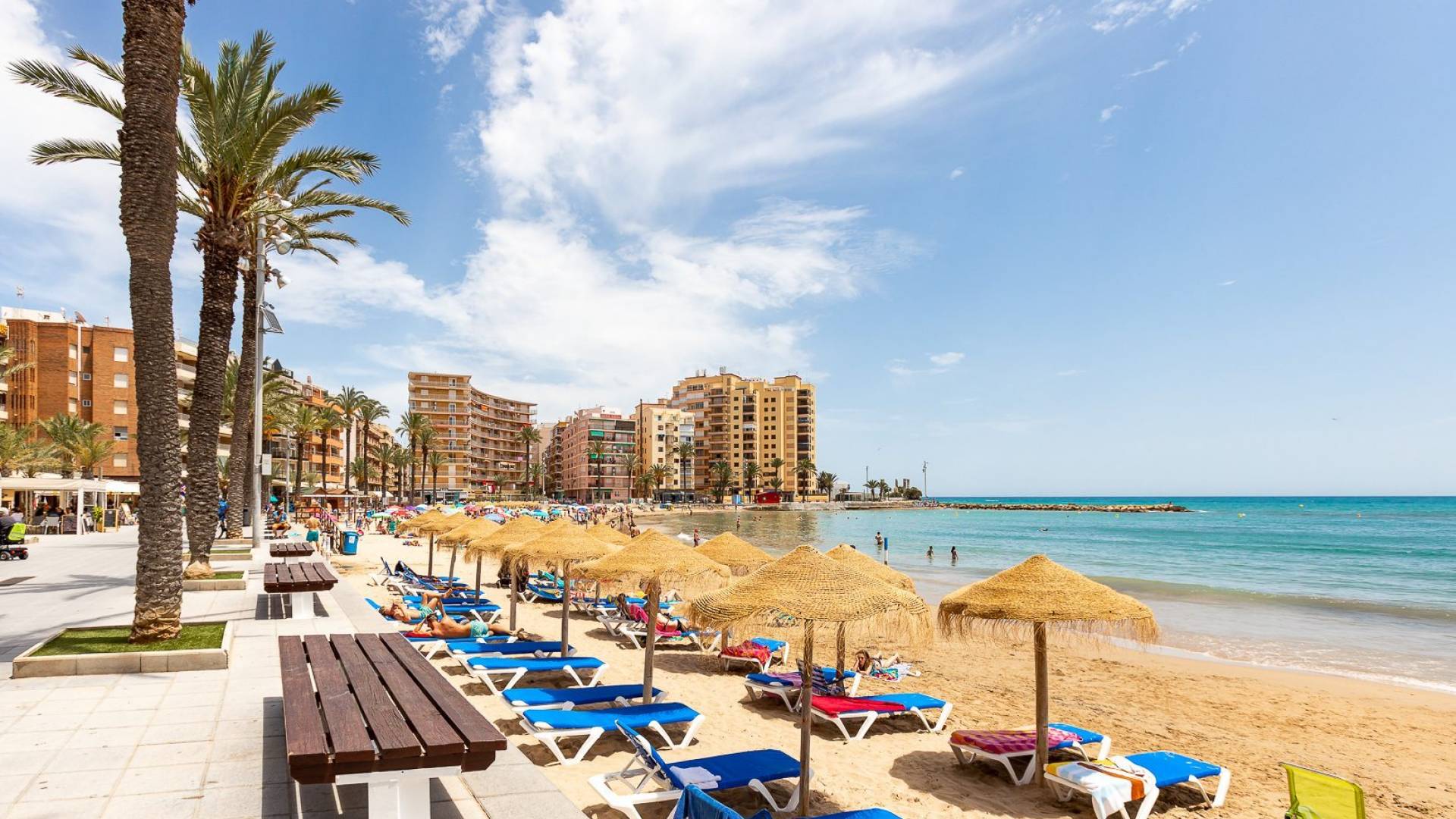 Segunda Mano - Apartamento - Torrevieja - Centro