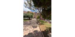 Segunda Mano - Apartamento - Torrevieja - Centro
