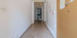 Segunda Mano - Apartamento - Torrevieja - El Molino