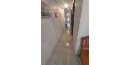 Segunda Mano - Apartamento - Torrevieja - Estacion de autobuses