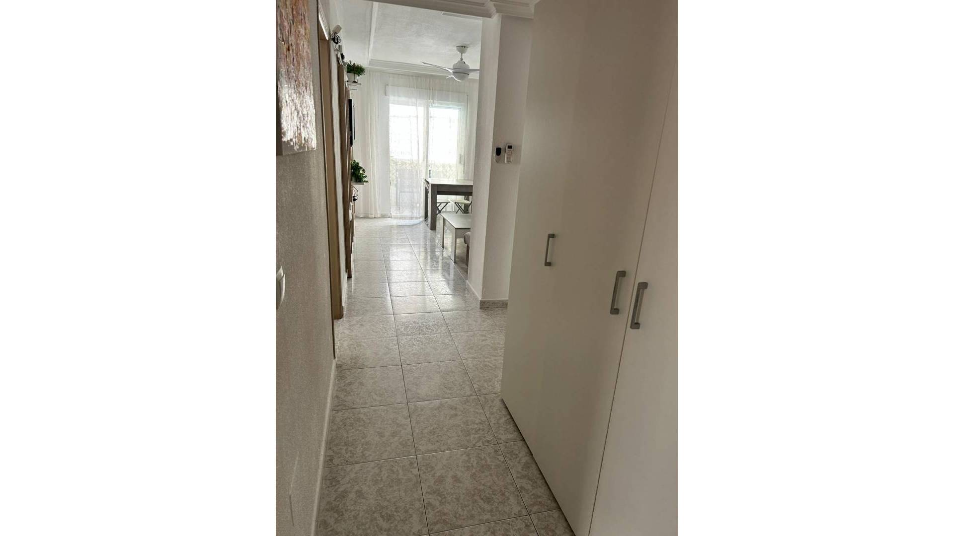 Segunda Mano - Apartamento - Torrevieja - Estacion de autobuses