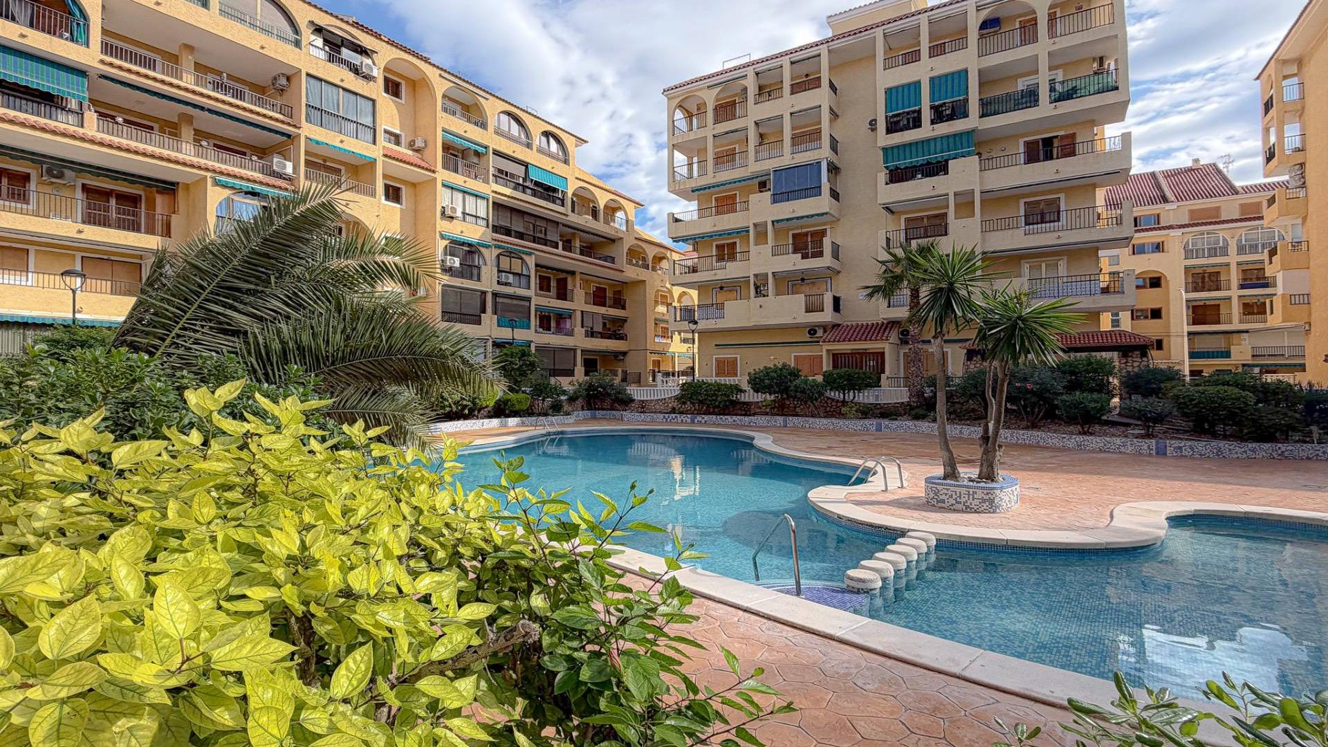 Segunda Mano - Apartamento - Torrevieja - La Mata