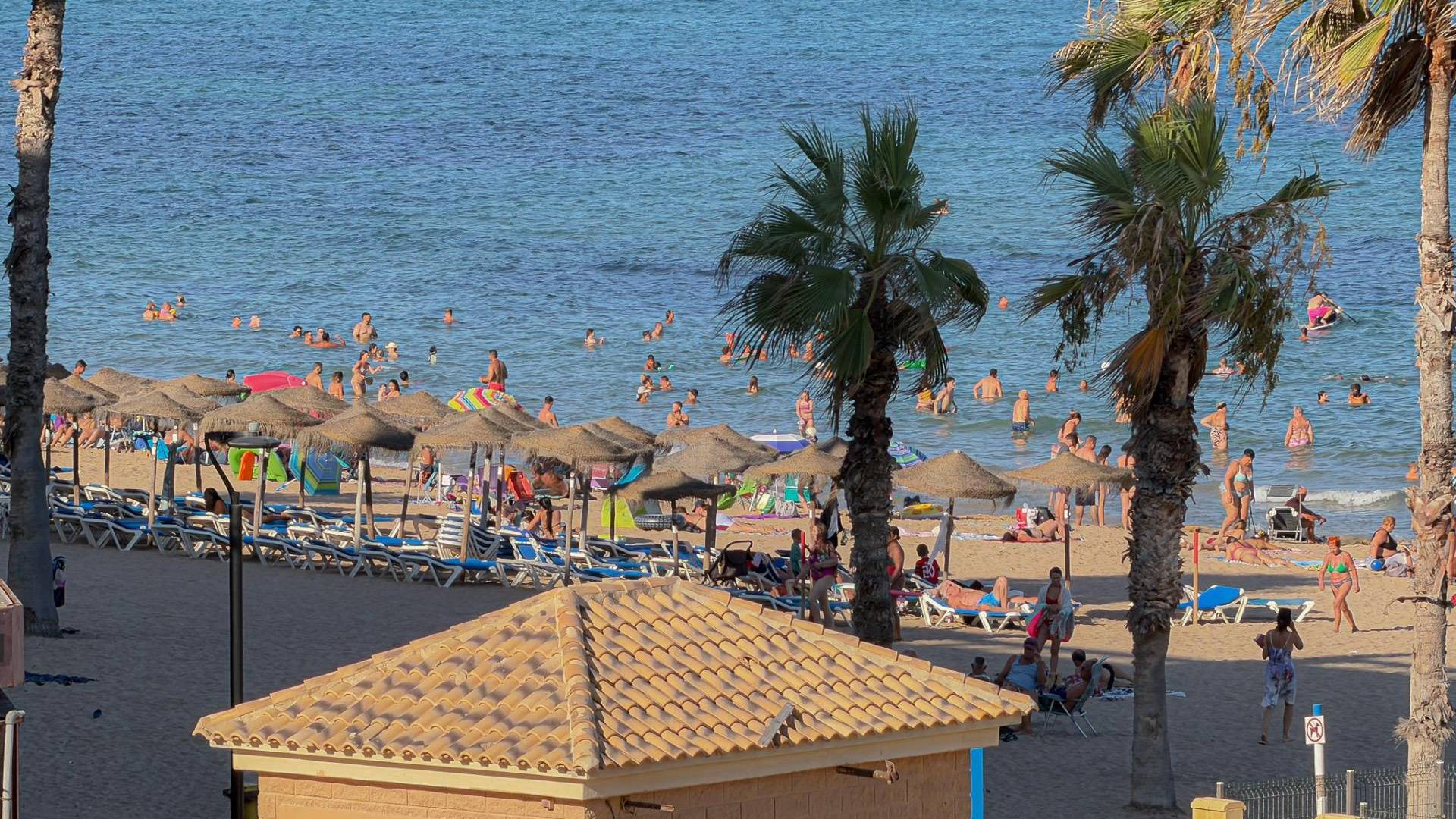 Segunda Mano - Apartamento - Torrevieja - La Mata