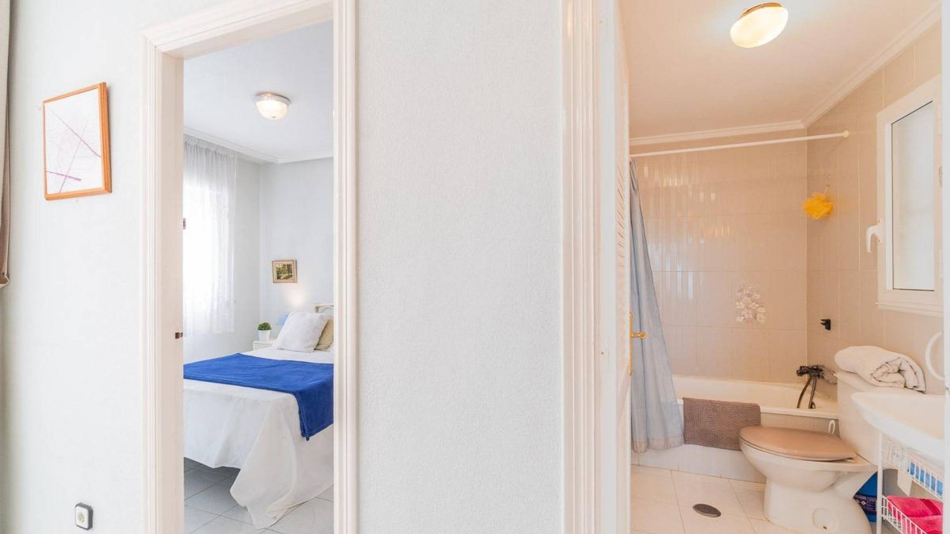 Segunda Mano - Apartamento - Torrevieja - Los Frutales