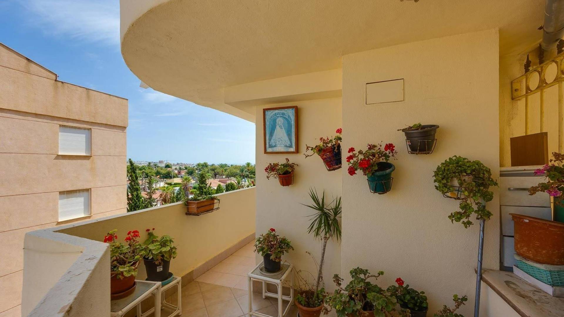 Segunda Mano - Apartamento - Torrevieja - Nueva Torrevieja