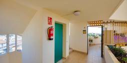 Segunda Mano - Apartamento - Torrevieja - Nueva Torrevieja