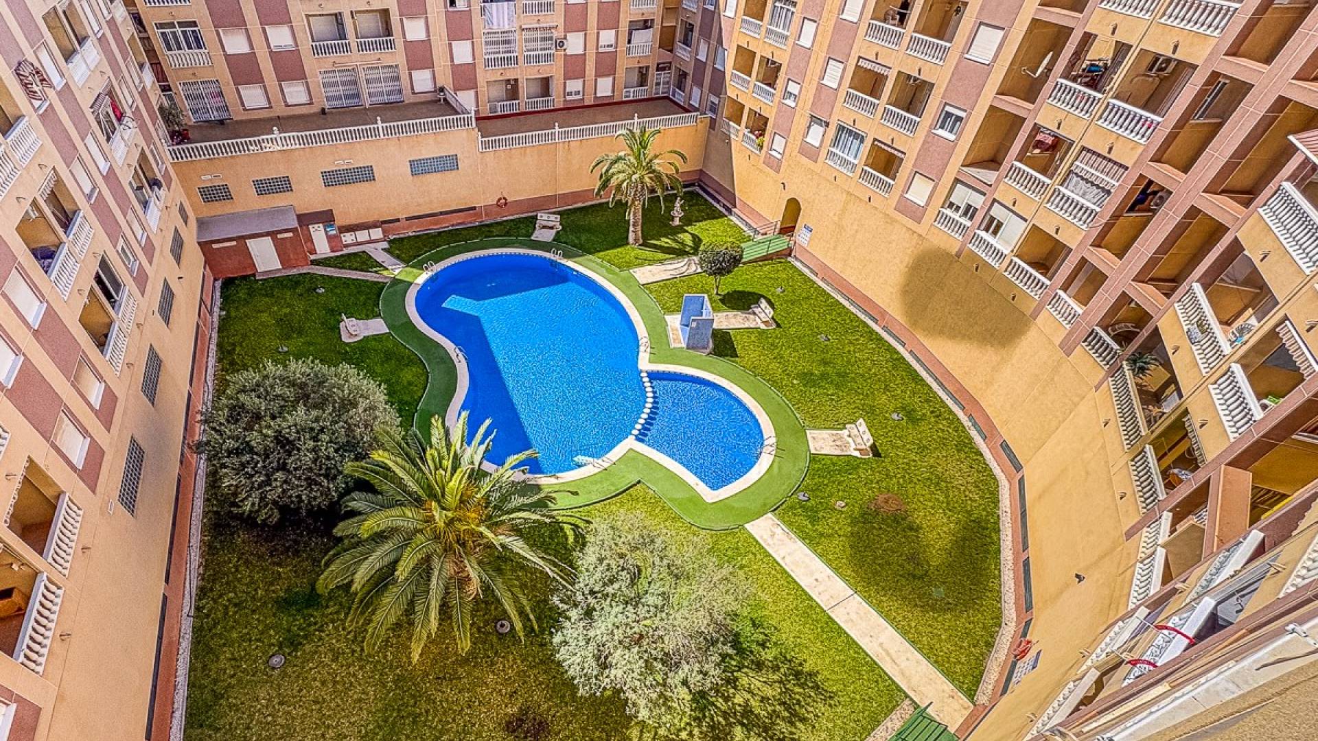 Segunda Mano - Apartamento - Torrevieja - Parque de las Naciones