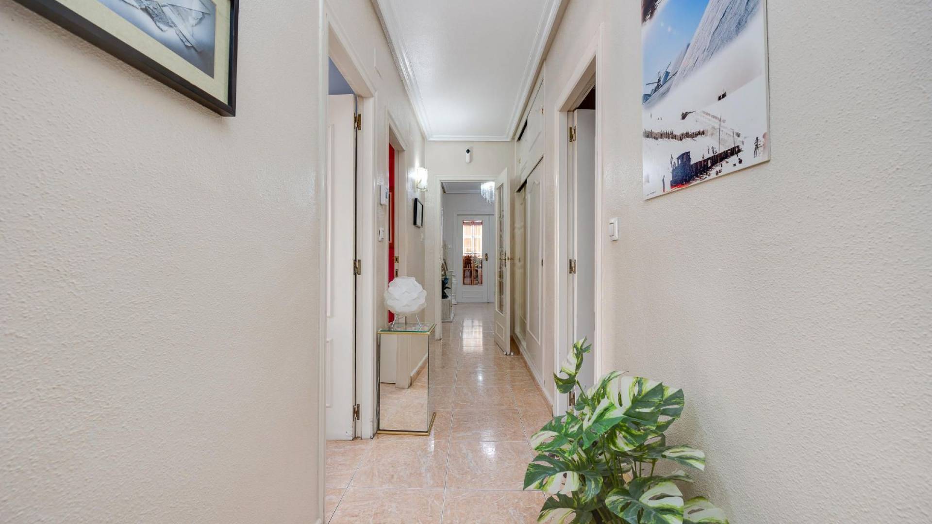 Segunda Mano - Apartamento - Torrevieja - Patricio Perez 79