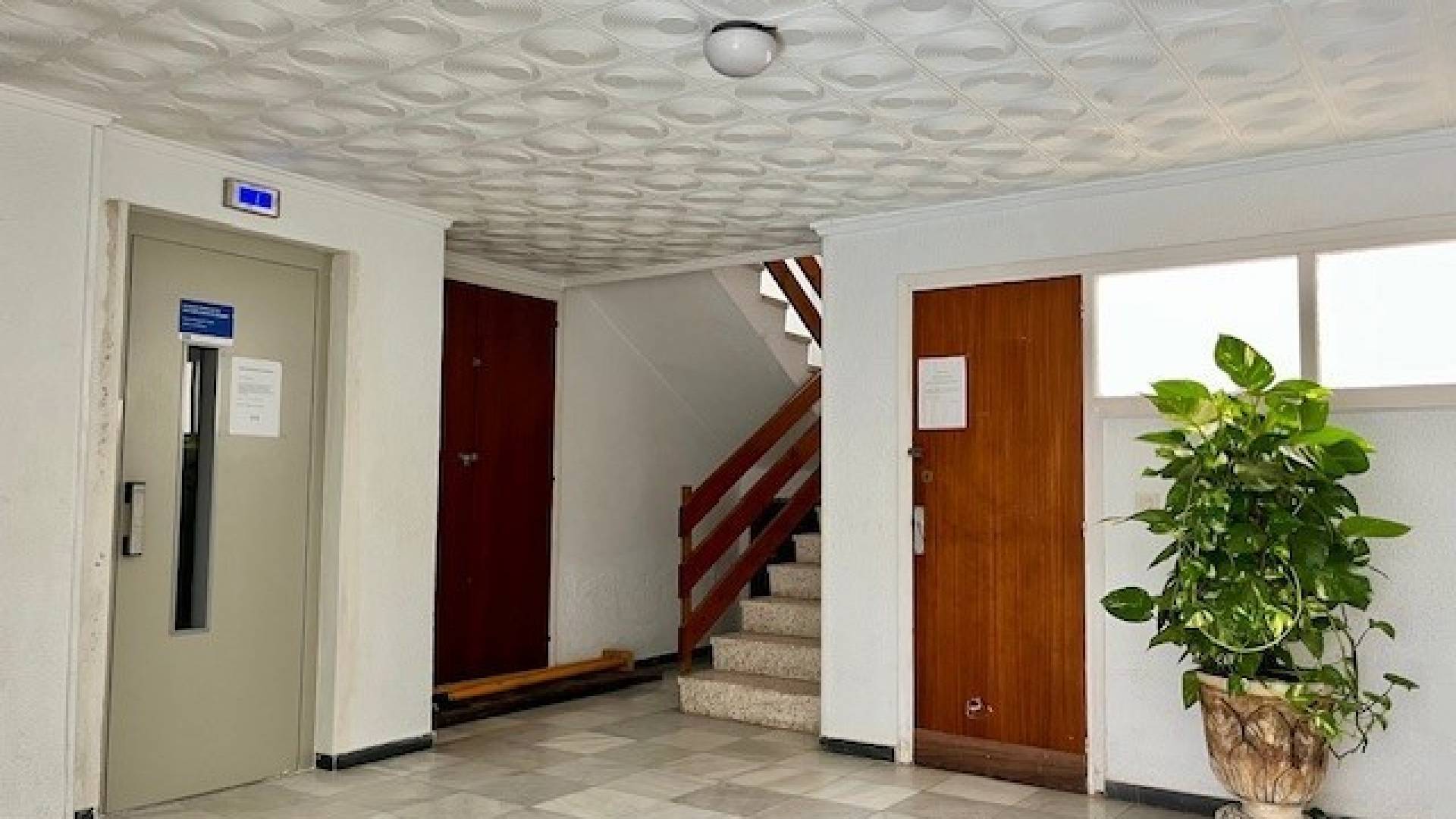 Segunda Mano - Apartamento - Torrevieja - Playa de El Cura