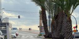 Segunda Mano - Apartamento - Torrevieja - Playa de los Locos