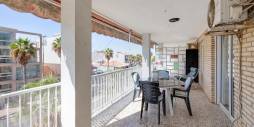 Segunda Mano - Apartamento - Torrevieja - Playa de los Naufragos