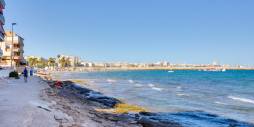 Segunda Mano - Apartamento - Torrevieja - Playa de los Naufragos