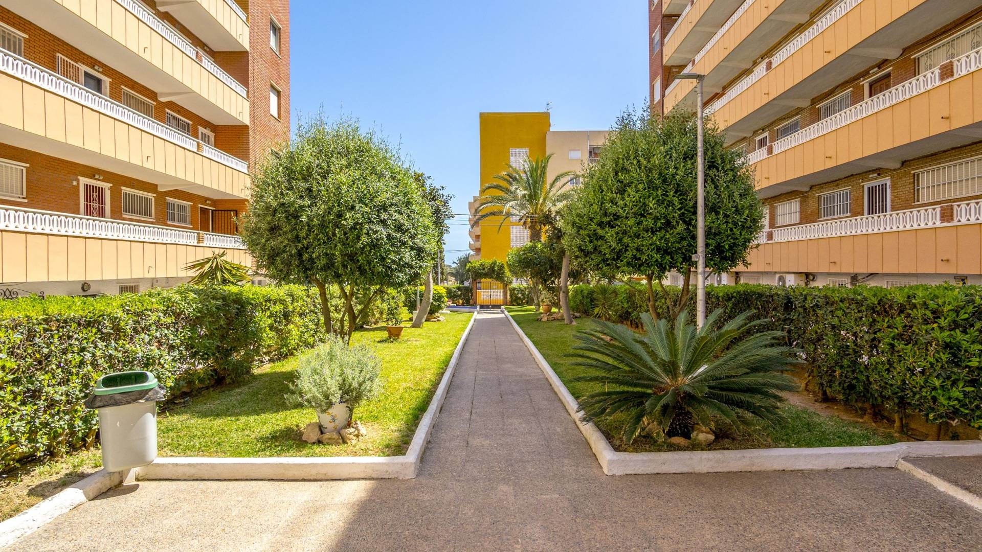 Segunda Mano - Apartamento - Torrevieja - Punta Prima