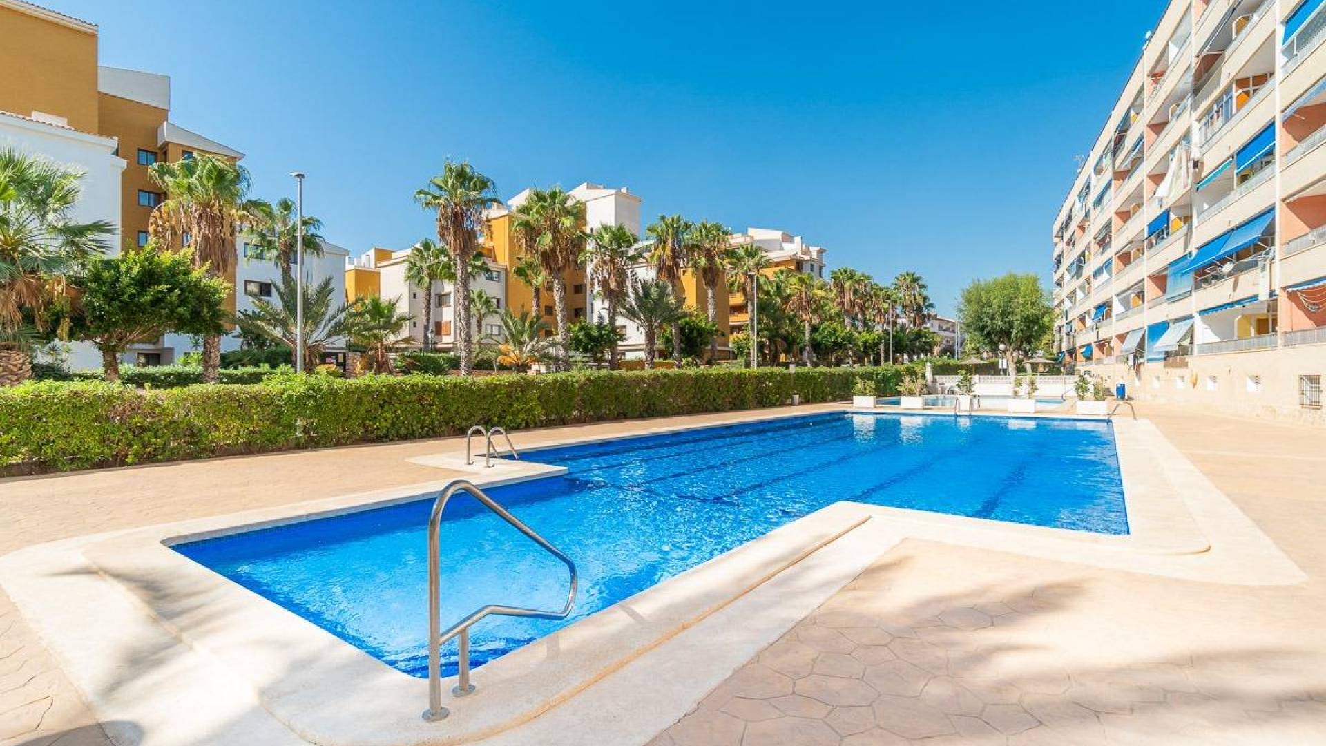 Segunda Mano - Apartamento - Torrevieja - Punta Prima