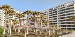 Segunda Mano - Apartamento - Torrevieja - Punta Prima
