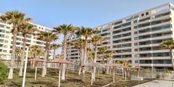 Segunda Mano - Apartamento - Torrevieja - Punta Prima
