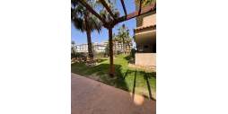 Segunda Mano - Apartamento - Torrevieja - Punta Prima