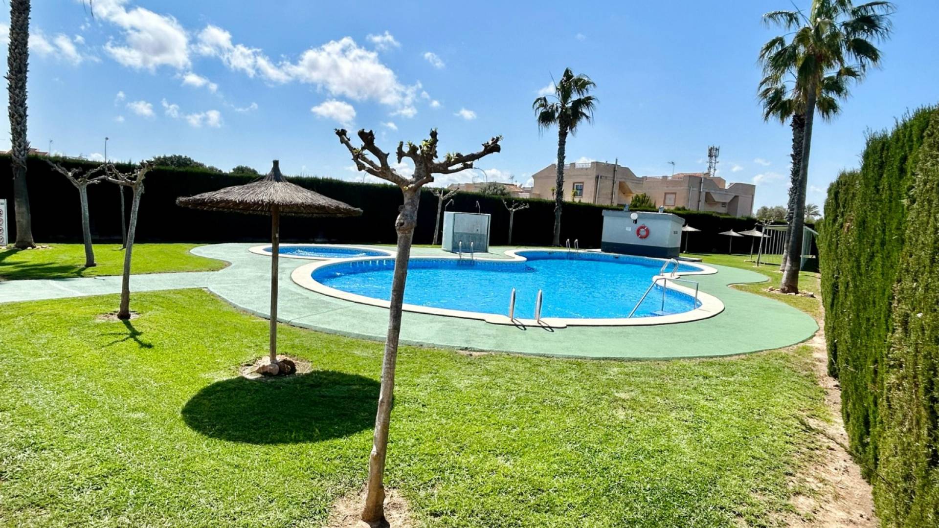 Segunda Mano - Apartamento - Torrevieja - San luis