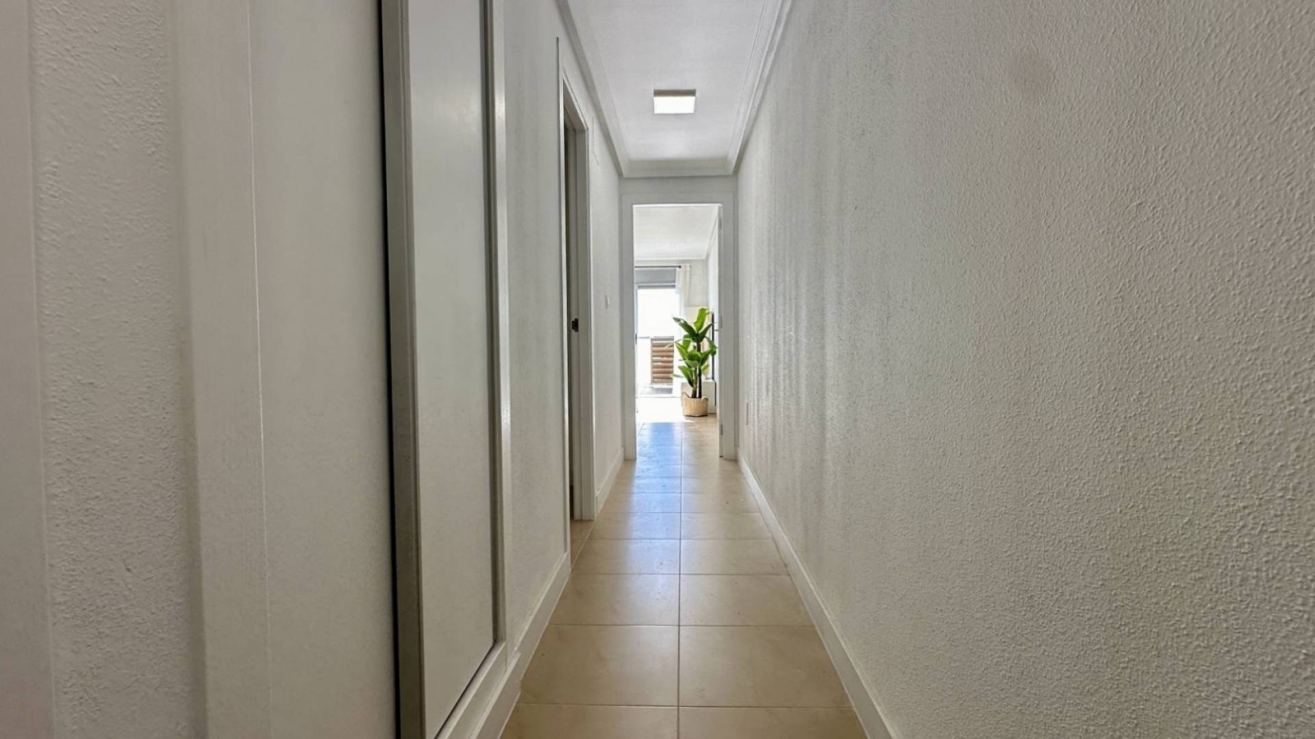 Segunda Mano - Apartamento - Torrevieja