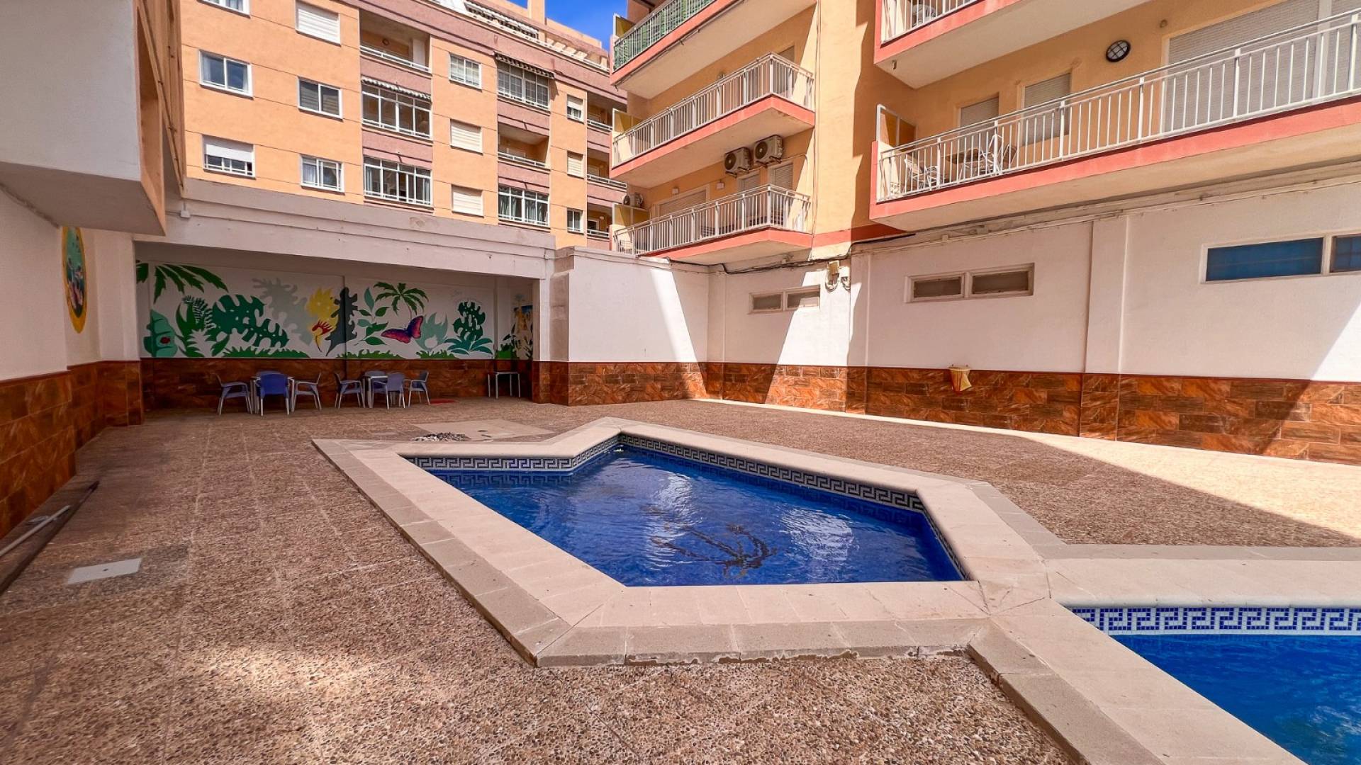 Segunda Mano - Apartamento - Torrevieja