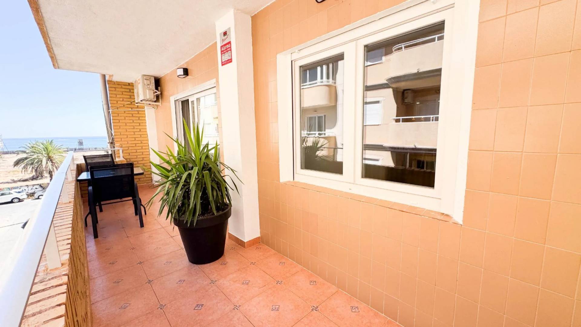 Segunda Mano - Apartamento - Torrevieja