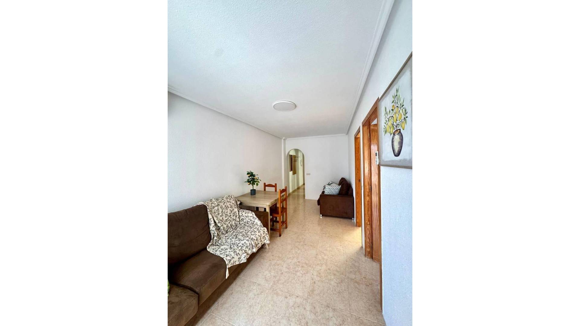 Segunda Mano - Apartamento - Torrevieja