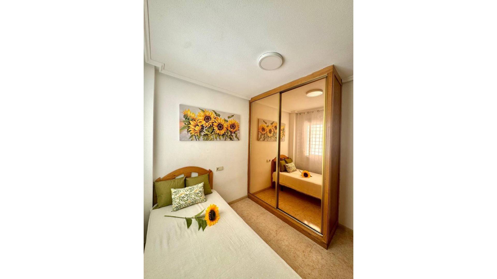 Segunda Mano - Apartamento - Torrevieja