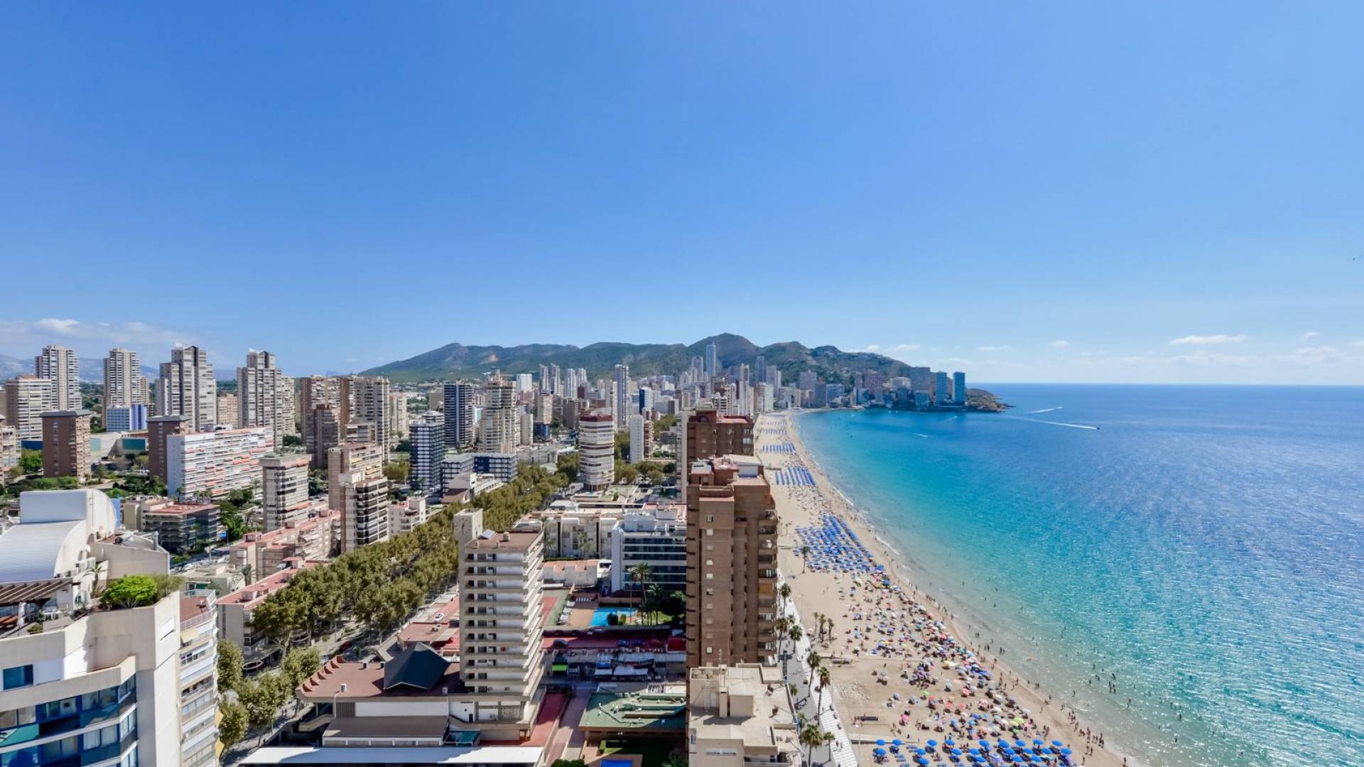 Segunda Mano - Ático - Benidorm