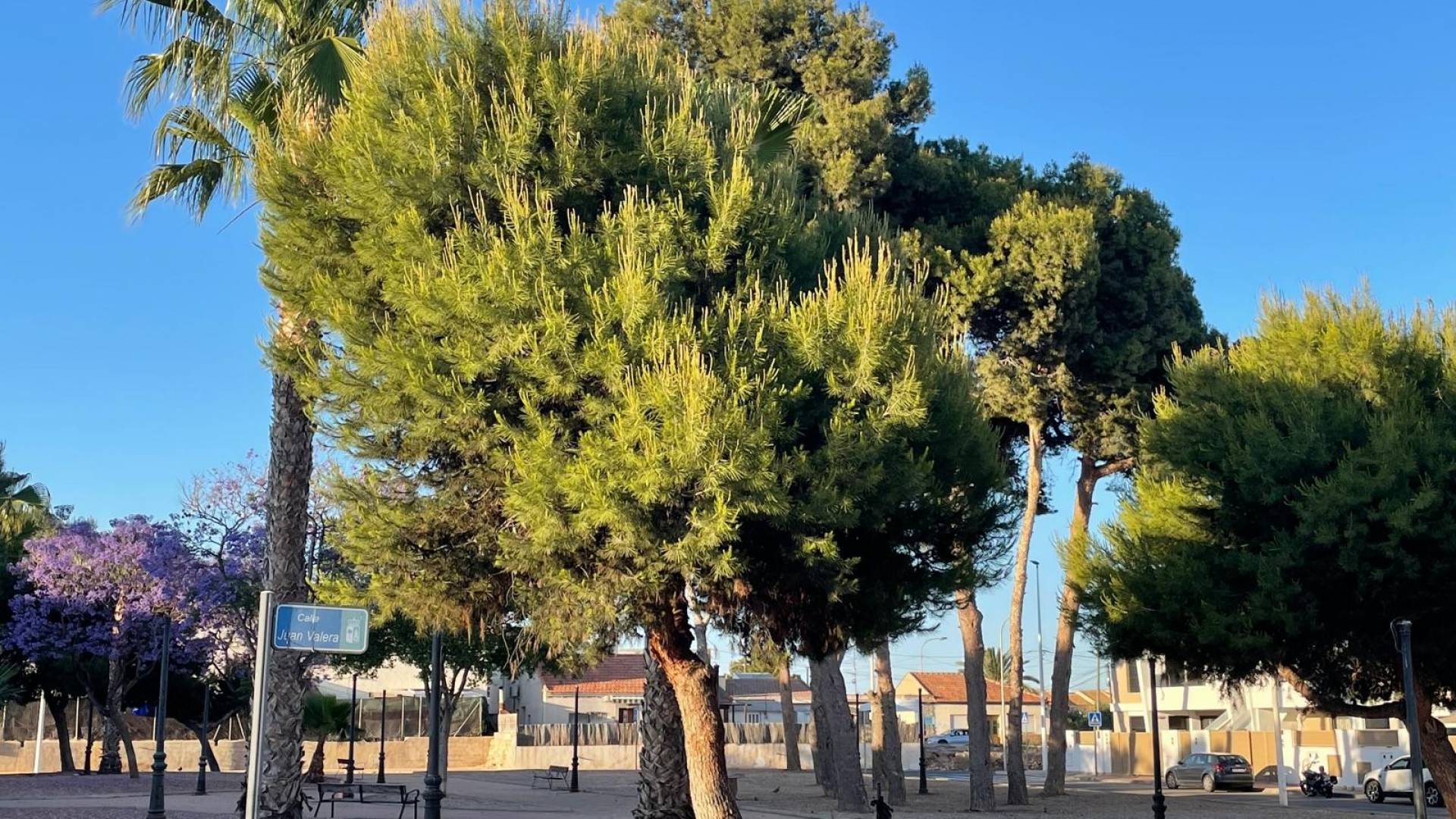 Segunda Mano - Ático - San Pedro del Pinatar - San Pedro del Pinatar pueblo